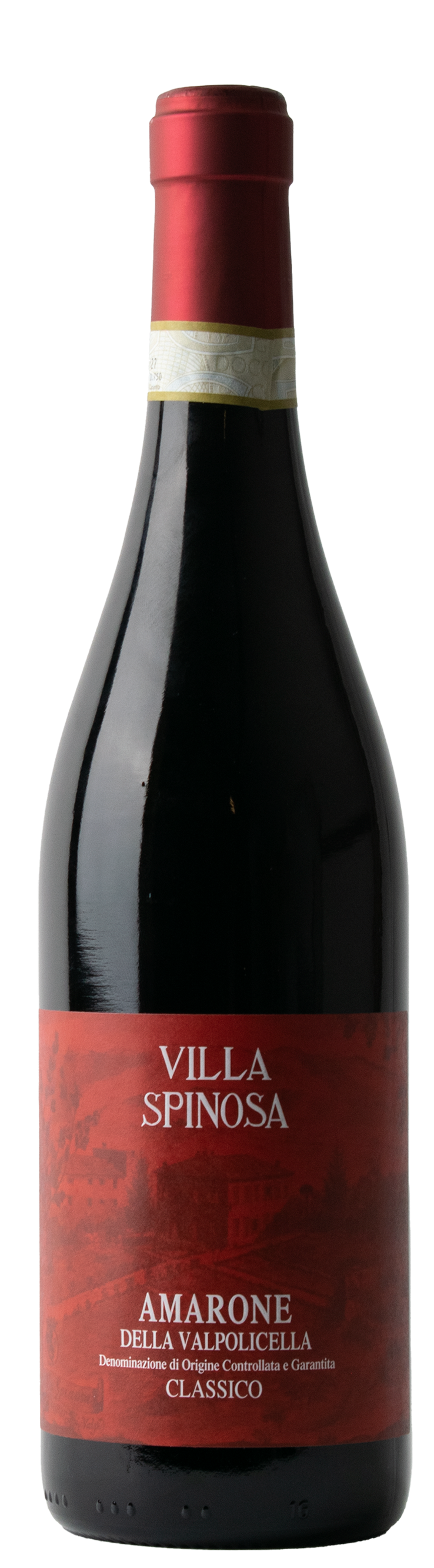 Amarone dell Valpolicella 2021 classico