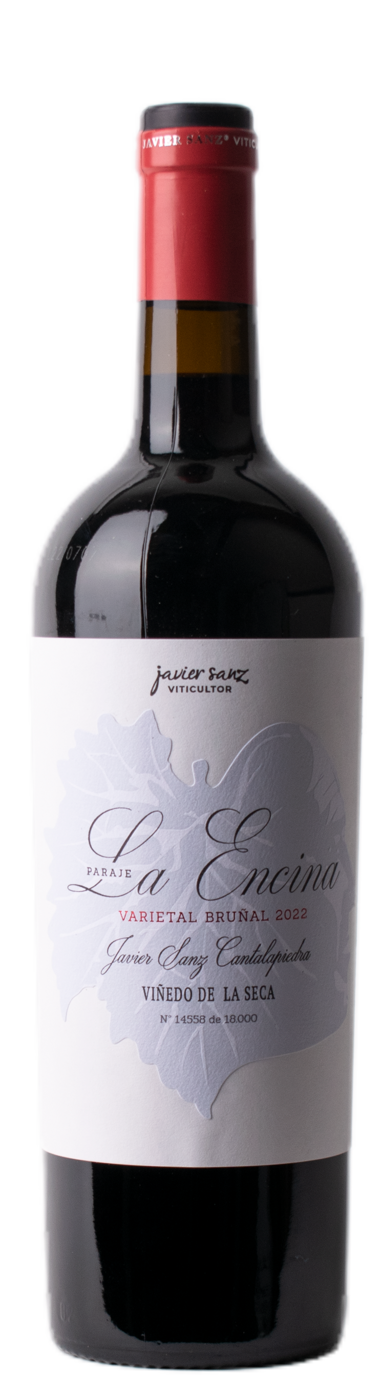 VDT Castilla Y Leon 2022 Paraje La Encina VDT Castilla Y Leon 2022 Paraje La Encina