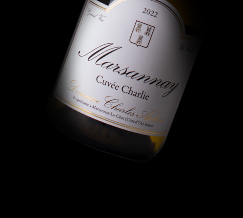 Domaine Charles Audoin  Mooie Marsannay blanc