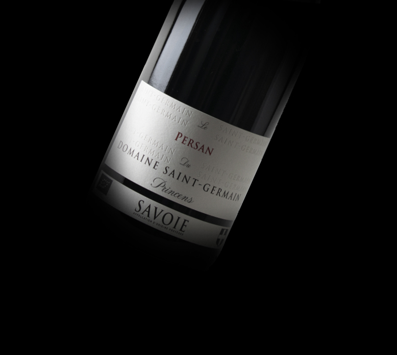 Persan Princens 2025 Rouge de Savoie