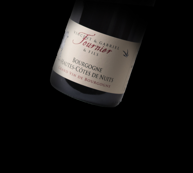 Bourgogne Hautes Cotes de Nuits Rouge 