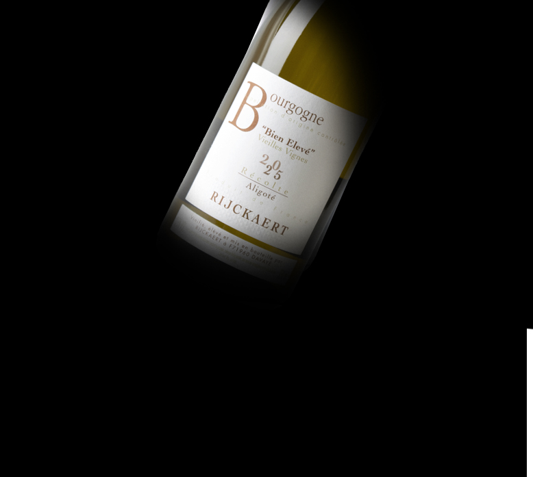 Bourgogne Aligoté 2025 Bien Elevé vieilles vignes
