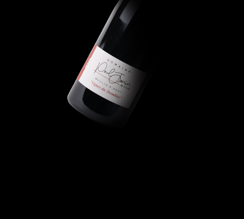 Moulin à Vent 2021 Vignes du Tremblay