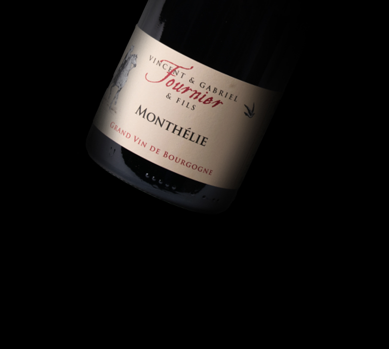Monthelie rouge 2022 Domaine de la Galopiere 