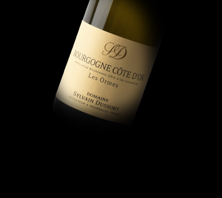Bourgogne Chardonnay 2023 Clos des ormes Domaine Sylvain Dussort