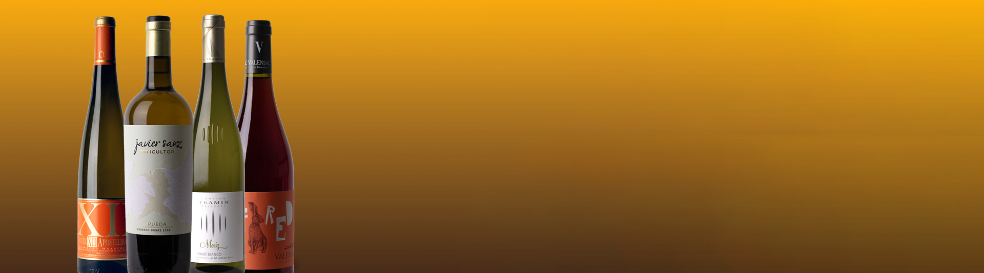 Paasselectie Vojacek Wijnen