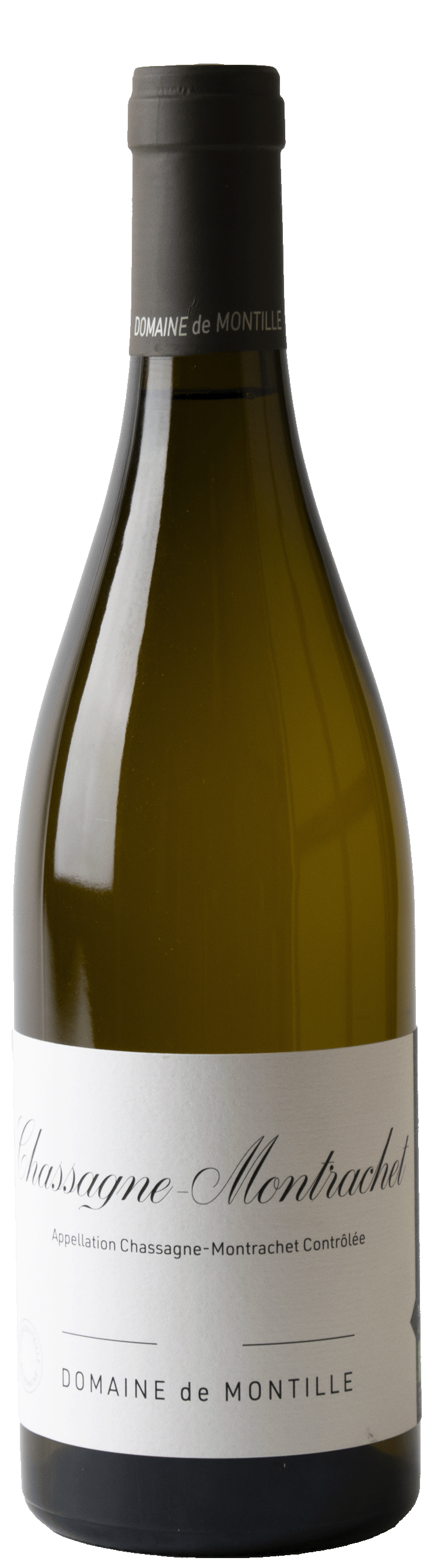 Chassagne Montrachet 2023