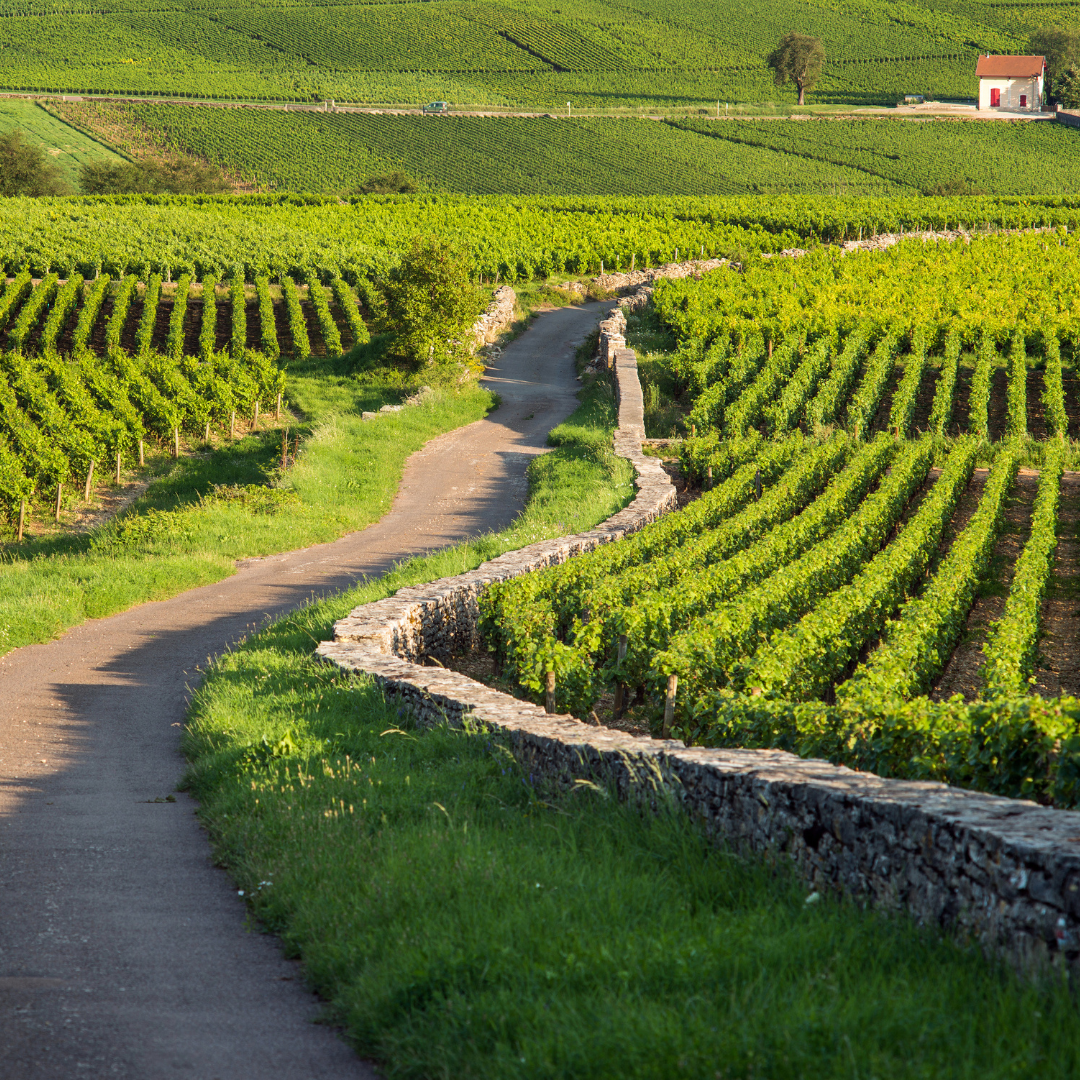 Climats de Bourgogne Climats de Bourgogne