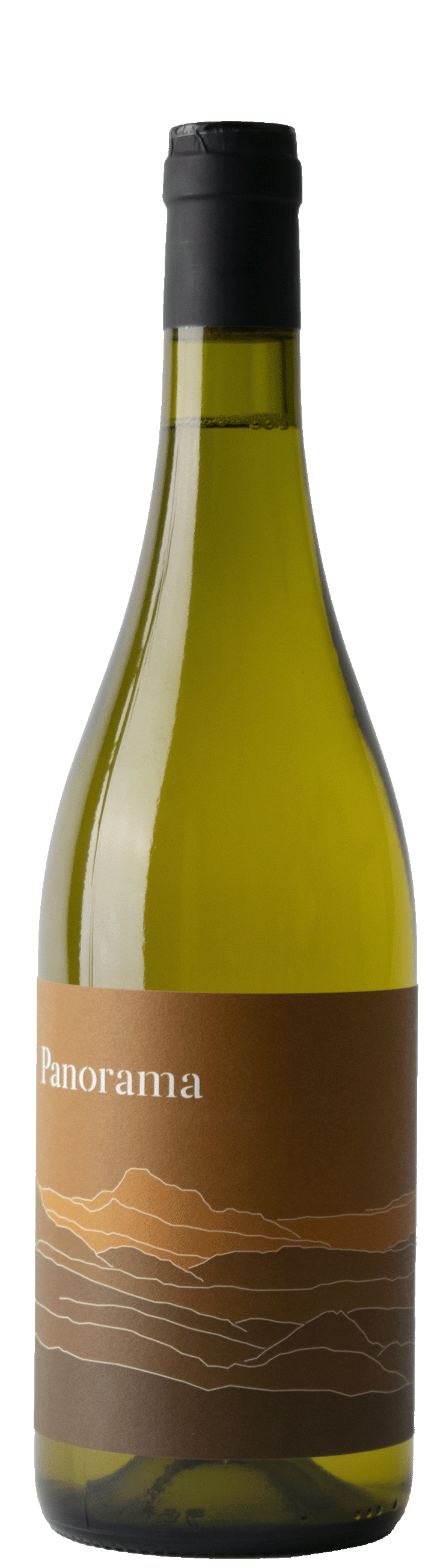 IGP Haute Vallée de L'Aude 2025 Panorama blanc