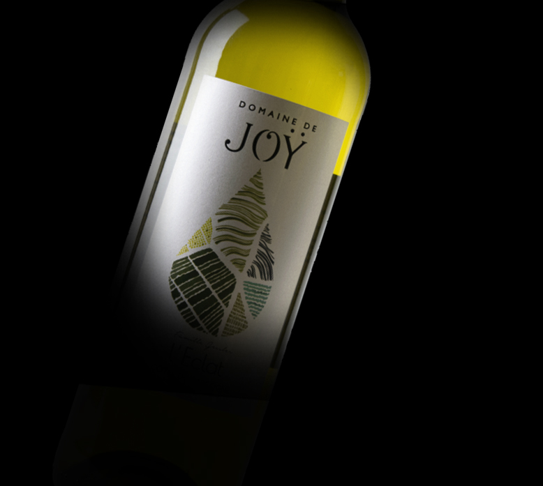 Cotes de Gascogne 2025    Domaine de Joy