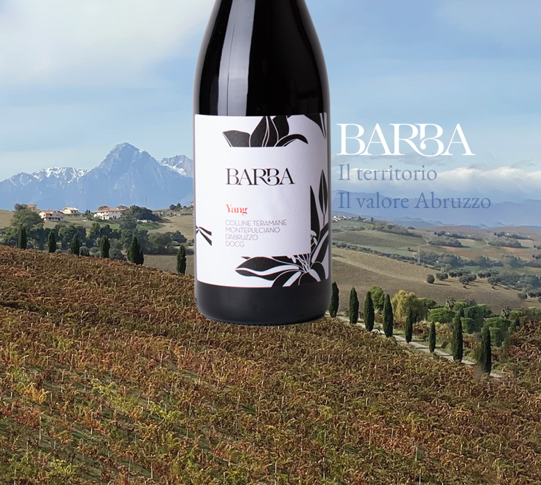 Fratelli Barba / Montepulciano Colline Teramane Yang Fratelli Barba / Montepulciano Colline Teramane Yang