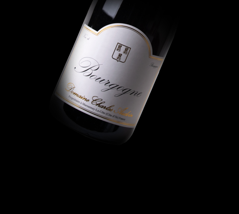 Bourgogne 2023 Pinot Noir