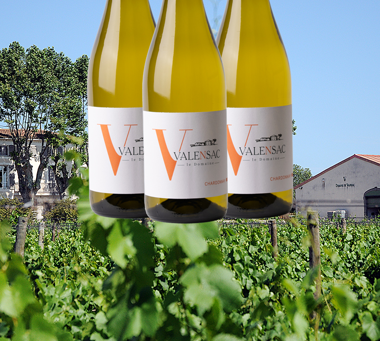 Domaine de Valensac / IGP Pays d'Oc 2024 Chardonnay Domaine de Valensac / IGP Pays d'Oc 2024 Chardonnay