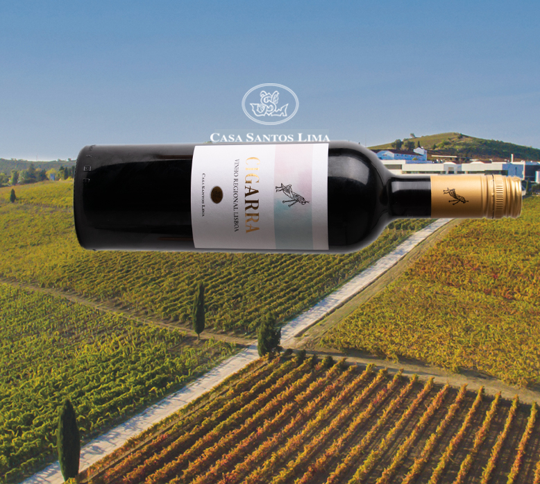 Casa Santos Lima / Vinho Regional Lisboa 2022 Cigarra Casa Santos Lima / Vinho Regional Lisboa 2022 Cigarra